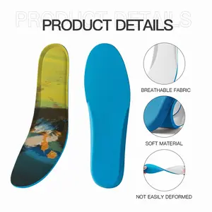 Men Racing Horses Insole