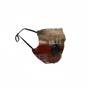 Lorenzo'S Marriage Respirator Valve Mask