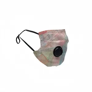 Am 003 Respirator Valve Mask