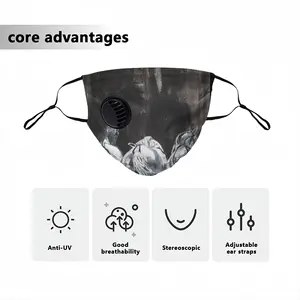 #3 Graces Respirator Valve Mask