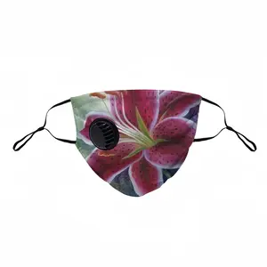 Lily Respirator Valve Mask