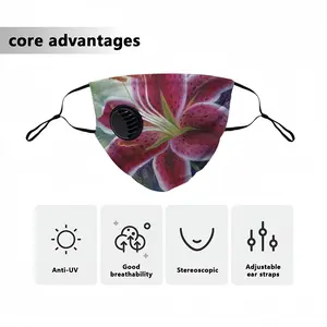 Lily Respirator Valve Mask