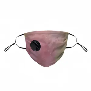 Pink World Respirator Valve Mask