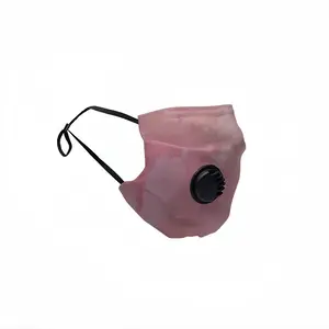 Pink World Respirator Valve Mask