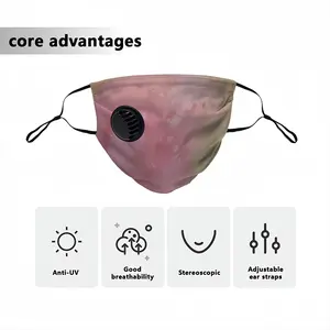 Pink World Respirator Valve Mask