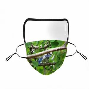 Blue Jay Peek-A-Boo Eye Face Mask