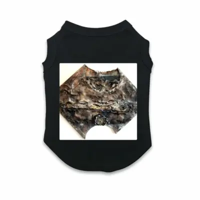 Nightwing Pet Vest