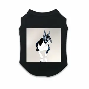 Boston-Gemini Pet Vest