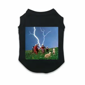 The Dance Pet Vest