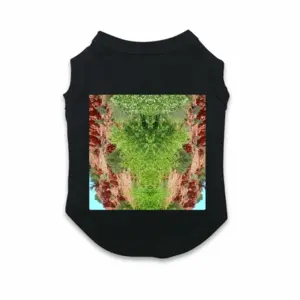 Many Faces Of Sedona Pet Vest