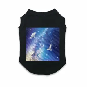 Valley Of The Stars Pet Vest