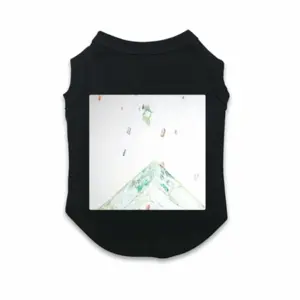 Structural Cracks Pet Vest