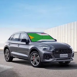 Pubic Flag South Africa Car Sunshade Parasol