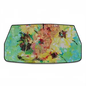 Doing A Van Gogh Car Sunshade Parasol