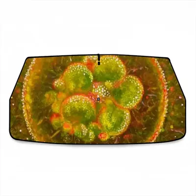 Cellular Universe X Car Sunshade Parasol