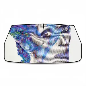 David Bowie Car Sunshade Parasol