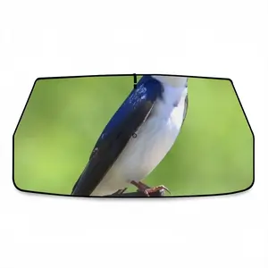 I See You Swallow Car Sunshade Parasol