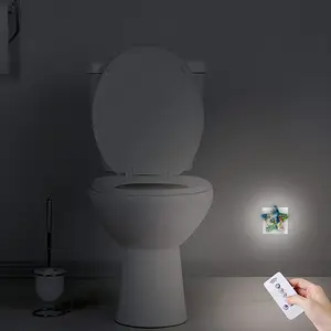 Boy With Bird Sensor Night Light (Star)