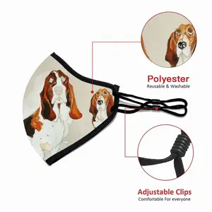 Basset Eagle Beak Mask