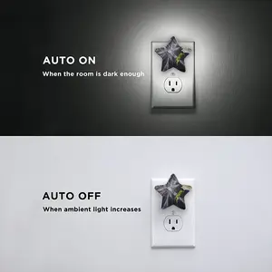 Collapse Sensor Night Light (Star)