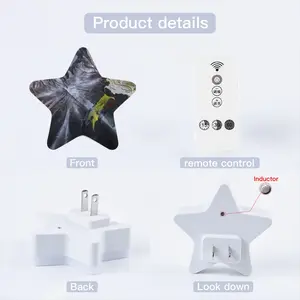 Collapse Sensor Night Light (Star)