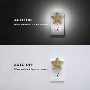 Cavalletto Sensor Night Light (Star)