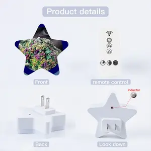 Buddy Sensor Night Light (Star)