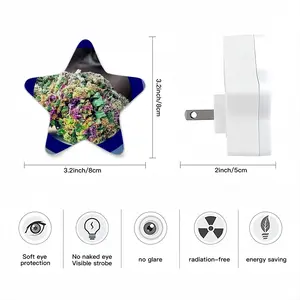 Buddy Sensor Night Light (Star)