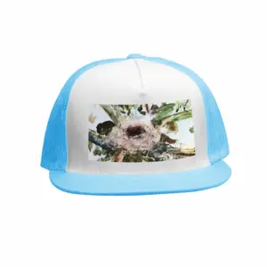 Birds Nest And Flying People Grid Cap