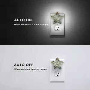 Message Series 2L Sensor Night Light (Star)