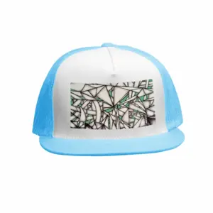 Sd Space 973 Grid Cap