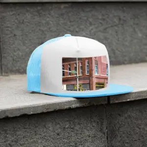 #17Th And O Sindwinders Grid Cap