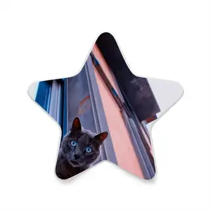 City Cat Sensor Night Light (Star)