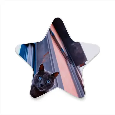 City Cat Sensor Night Light (Star)