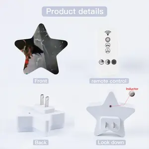 -P- Sensor Night Light (Star)