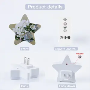 Apple Blossom Sensor Night Light (Star)