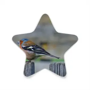 Bird Sensor Night Light (Star)