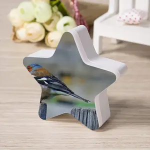 Bird Sensor Night Light (Star)