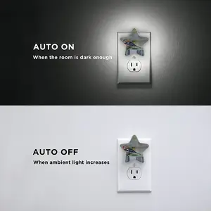 Bird Sensor Night Light (Star)