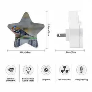 Bird Sensor Night Light (Star)