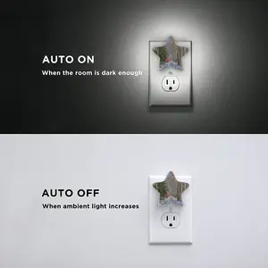 Abbakumtsevomarch Sensor Night Light (Star)