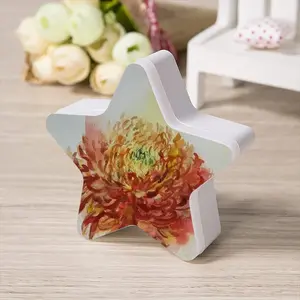 Autumn Flower Sensor Night Light (Star)