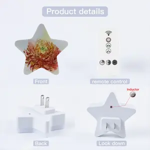 Autumn Flower Sensor Night Light (Star)