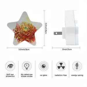 Autumn Flower Sensor Night Light (Star)