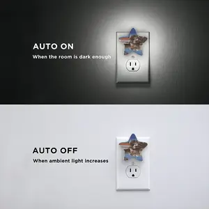 Rocky Reflection Sensor Night Light (Star)