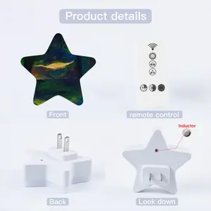 Beautiful Landscape Sensor Night Light (Star)