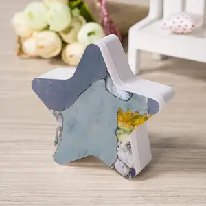 The Boy King Sensor Night Light (Star)