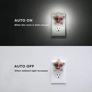 What Is The Question? Sensor Night Light (Star)