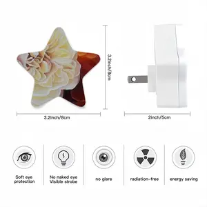 Roses Sensor Night Light (Star)