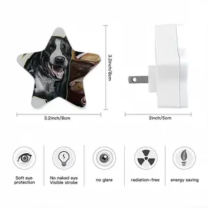 Barking Sensor Night Light (Star)